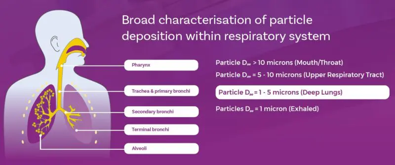 dive into the world of inhalers