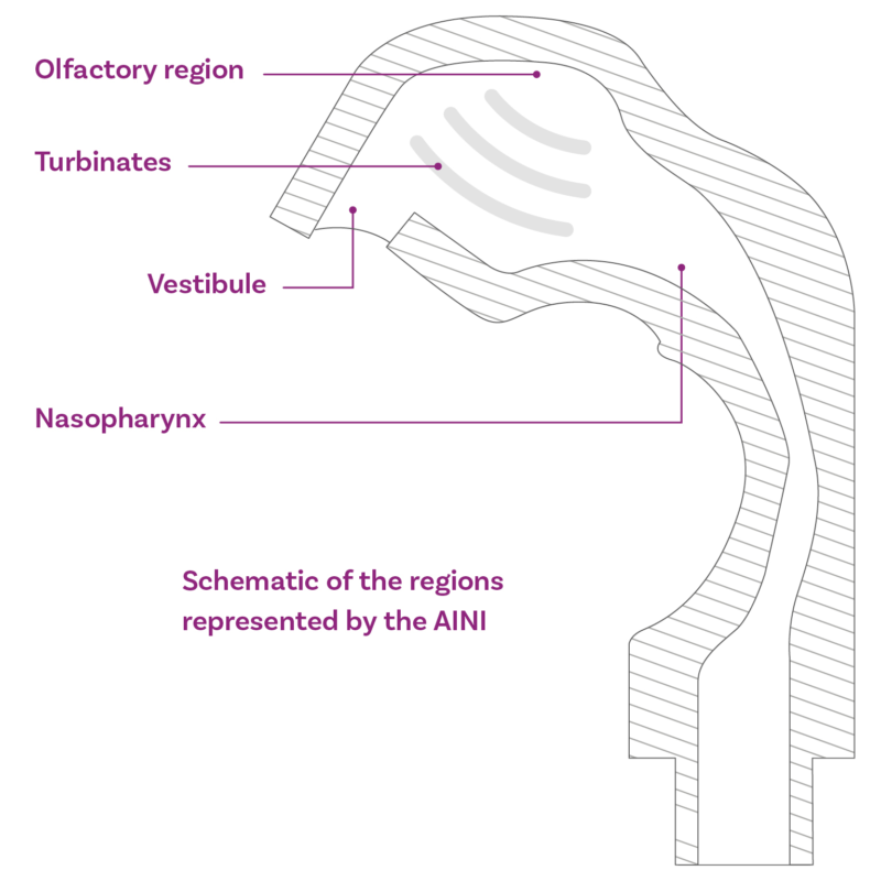 AINI schematic